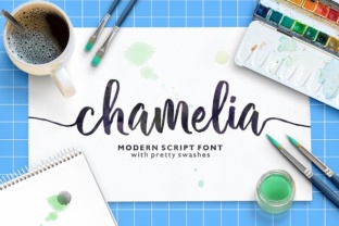 Chamelia: Adding Handmade Character to Your Projects